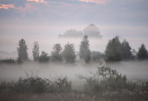 Утро туманное … Утро седое?)