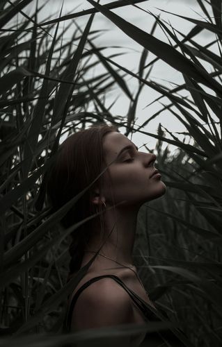 lili