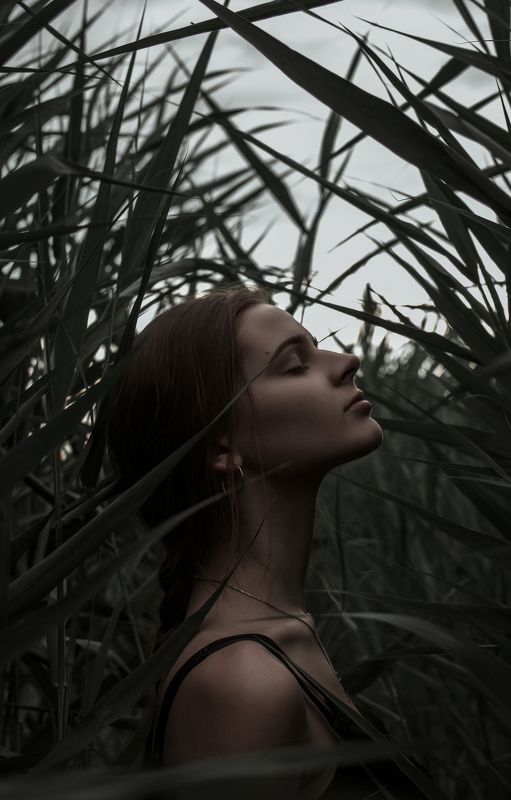 portrait, face, female portrait, nature, art, girl, beauty, портрет, девушка, женский портрет, природа, арт lili фото превью