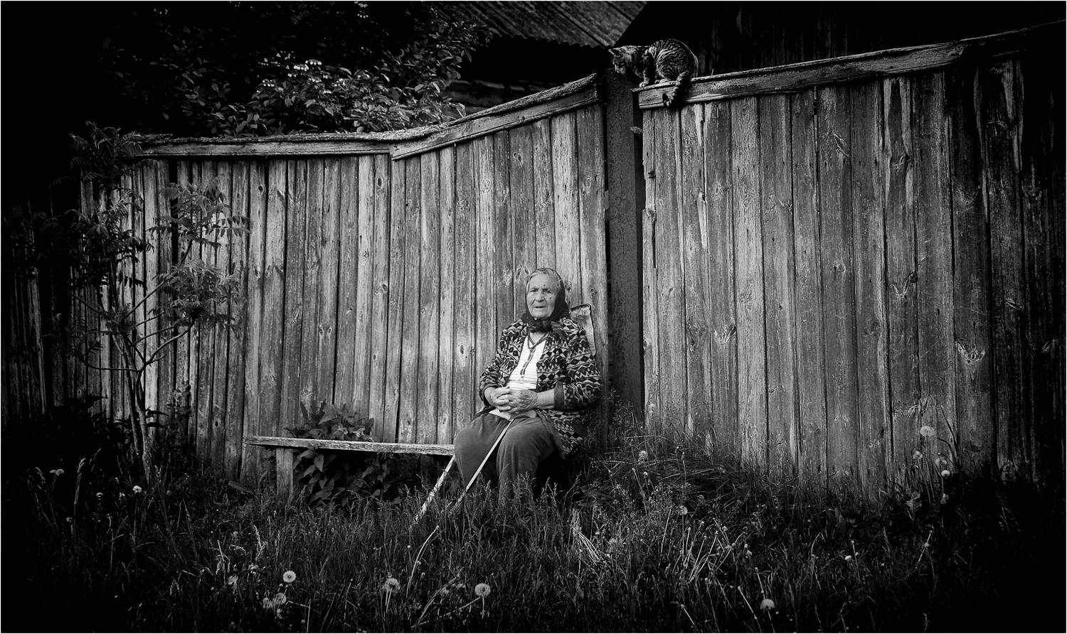 деревня, Юрий  Храмутичев