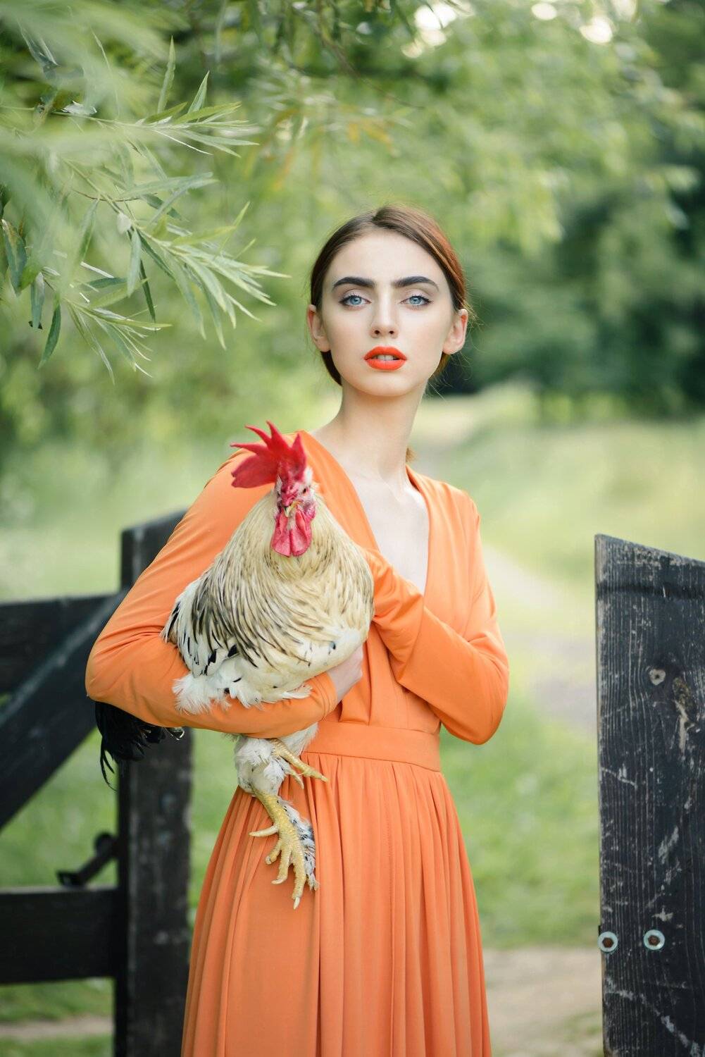 , Анастасия Добровольская