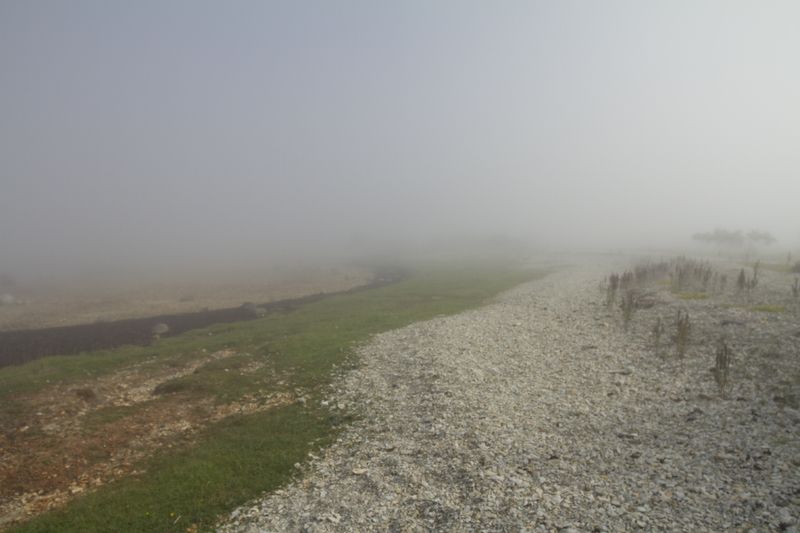 Туманное утро на острове Осмусаар фото превью