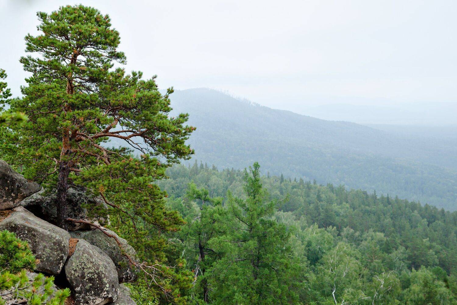 , Сергей Евдокимов
