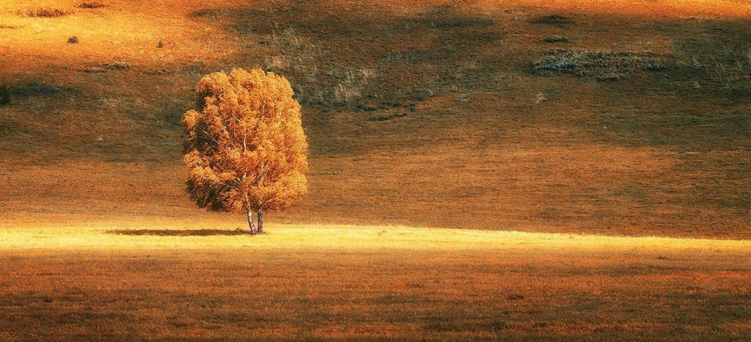 , Владимир Лякишев