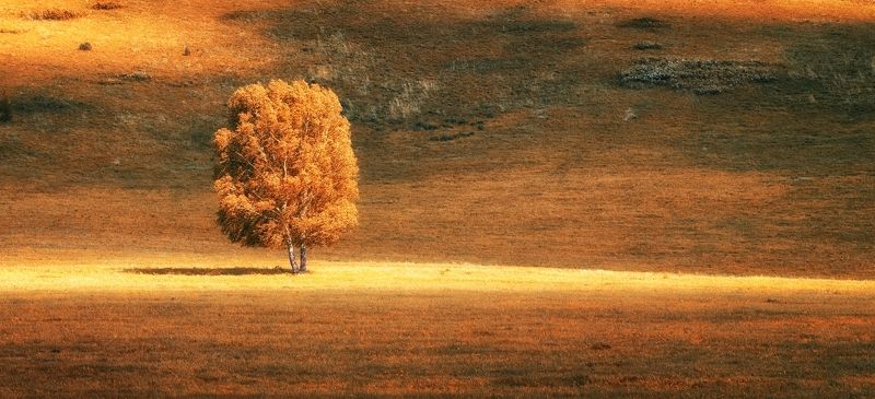 Золотая осень фото превью