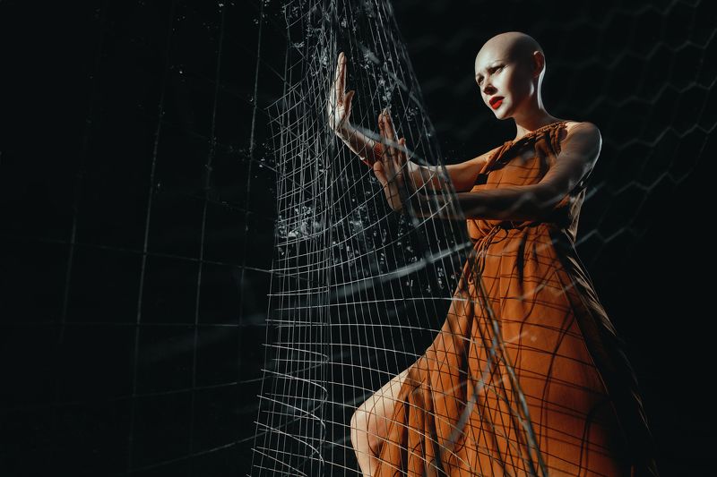 Barrier фото превью