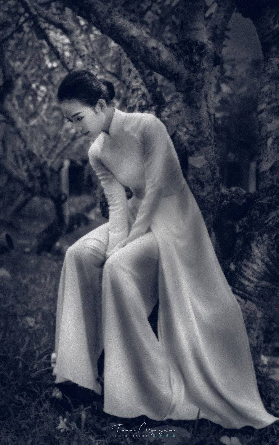 , Tuấn Nguyễn Tấn