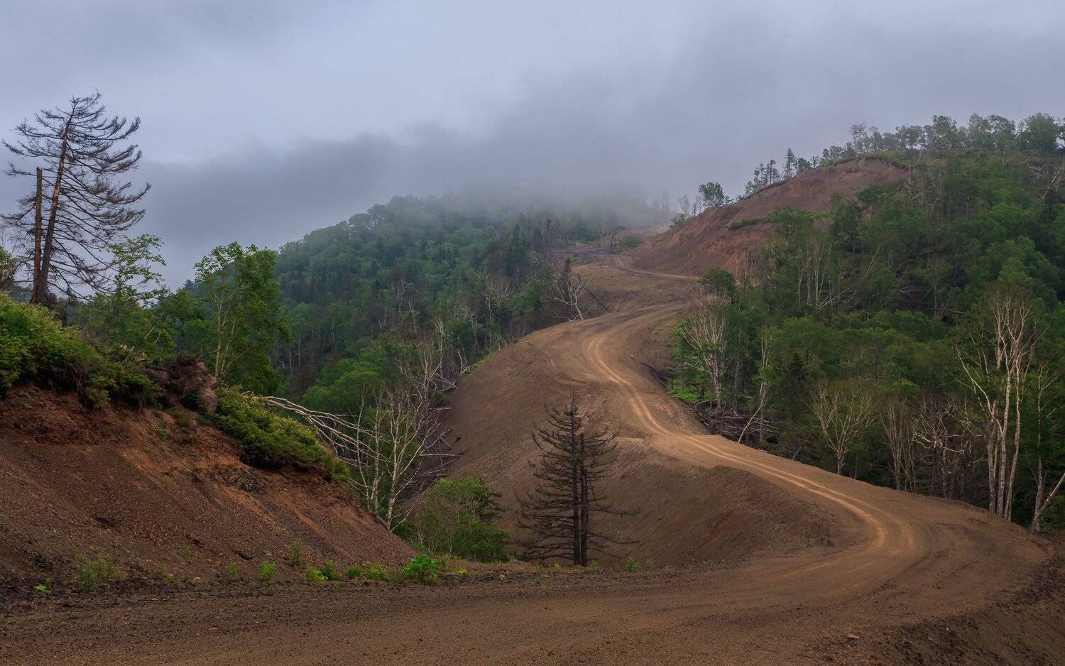 , Артем Удодов