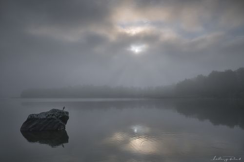Dreamland