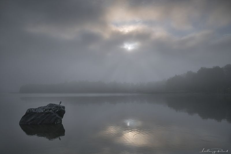 anchor, breakthrough, calmness, clearing, clouds, clouy, fog, foggy, forest, hjälmaren, iron ring, mist, misty, morning, nature, no people, outdoors, reflection, rock, serenity, stillness, sunrays, sunrise, trees, vapor, water Dreamland фото превью
