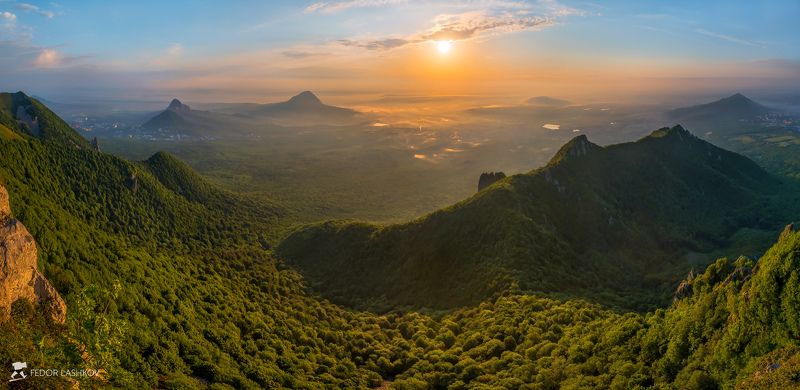 Спящий динозавр фото превью