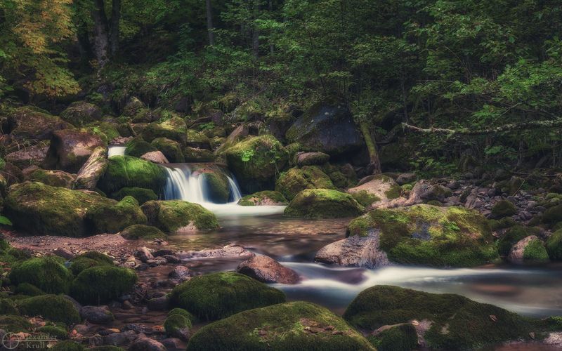 Средь замшелых камней... фото превью