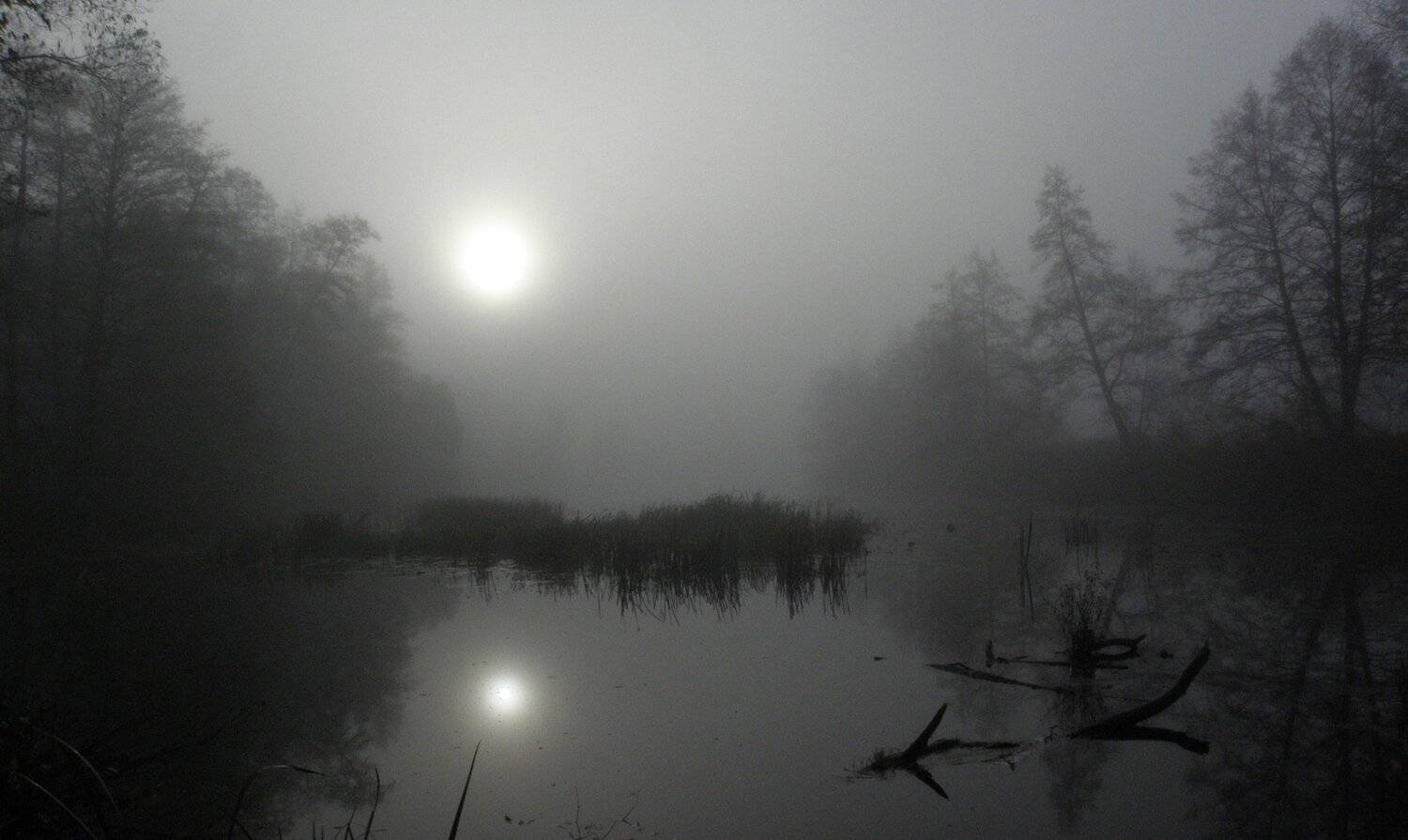 , Руслан Востриков