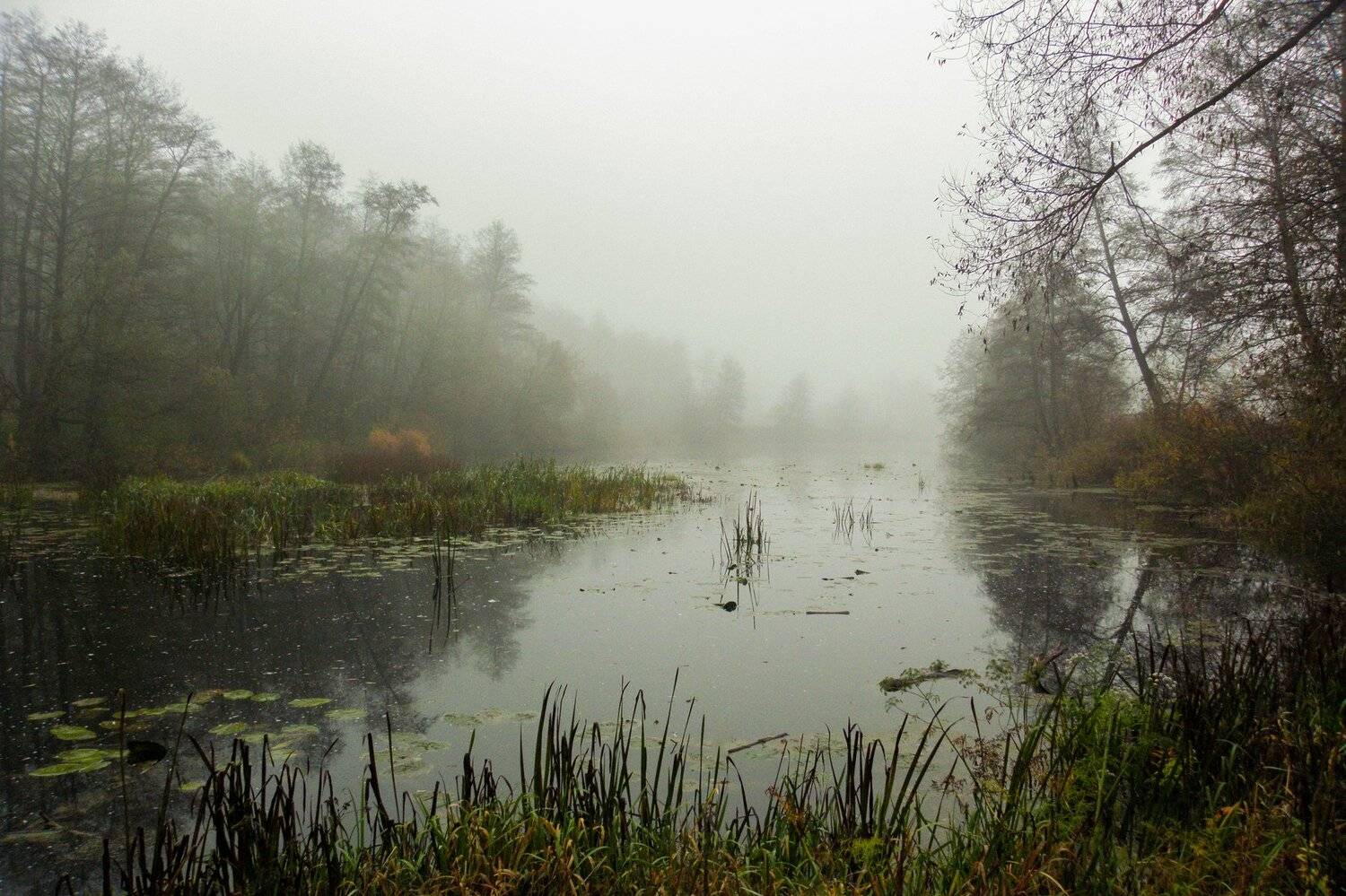 , Руслан Востриков