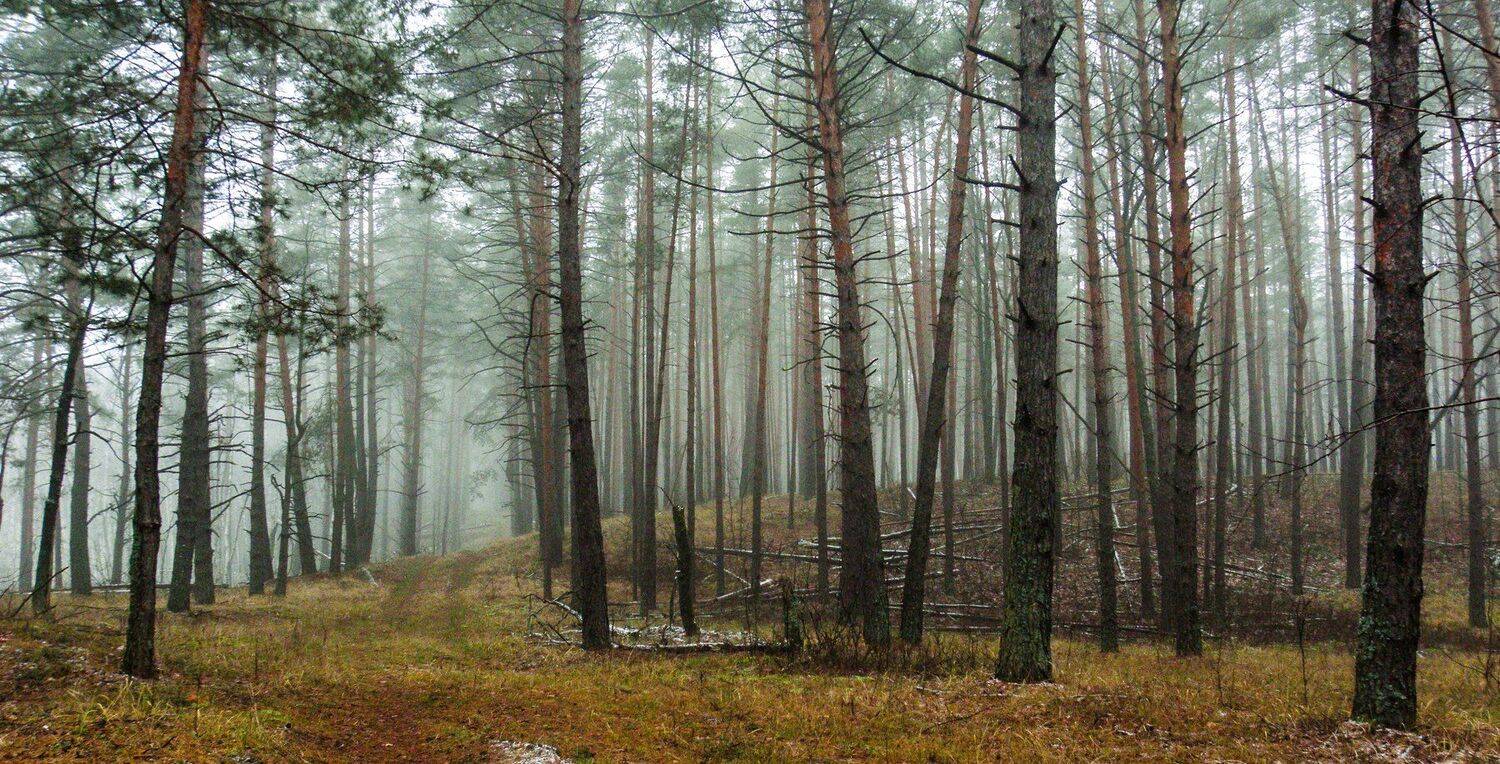 , Руслан Востриков