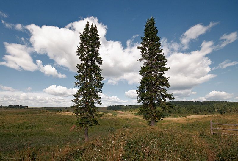 природа, пейзаж, лето Просто встретились два одиночества... фото превью