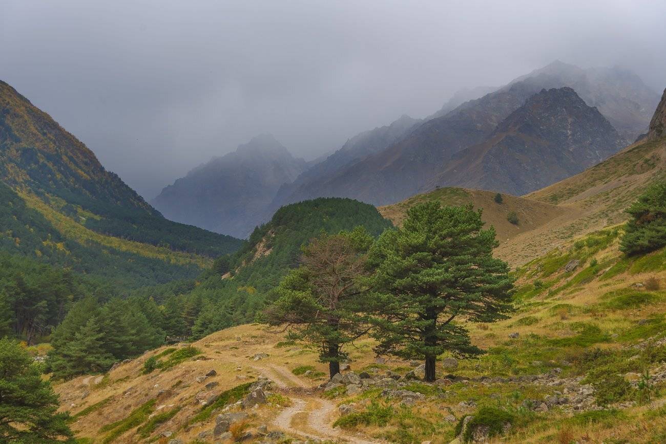 осень,горы,туман,дорога,кабардино-балкария, Елена Брежицкая