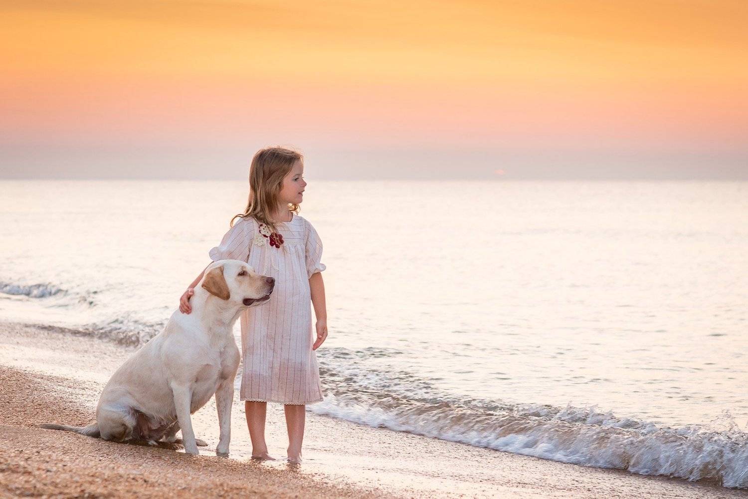 , Алексей Яковлев