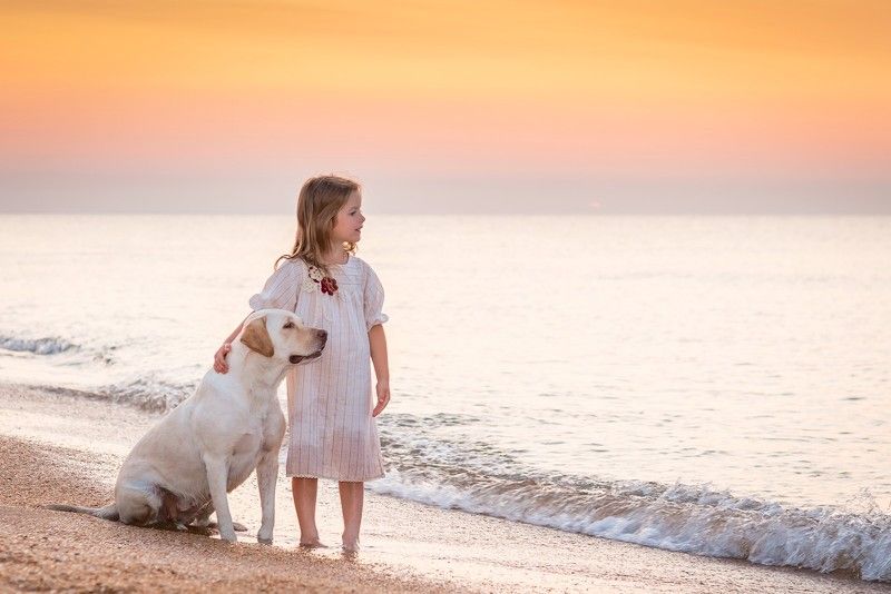 Соня и лабрадор Вспышка фото превью