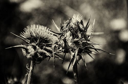 Death and life