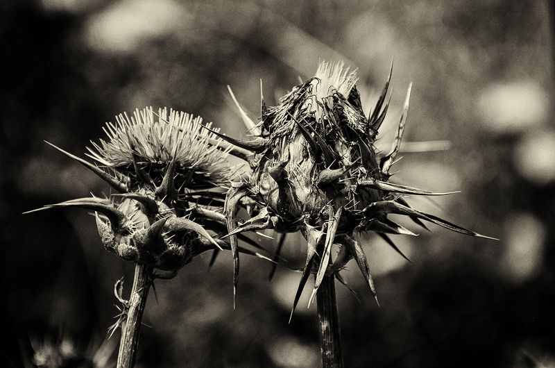 death and life Death and life фото превью