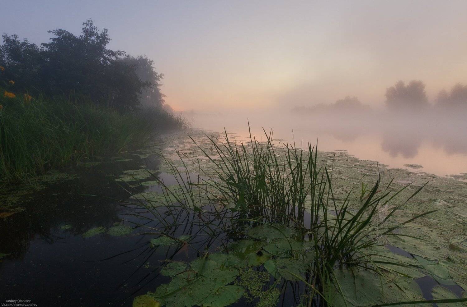 солнце, россия, рассвет, природа, подмосковье, погода, пейзажи, пейзаж, отражение, наукоград, красота, дубна, вода, весна, weather, water, spring, russia, reflection, naukograd, nature, moscow, landscape, dawn, canon dubna, beauty, Андрей Олонцев