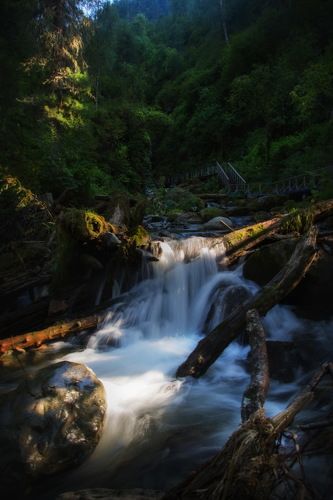 Фотопрогулка по Телецкому озеру. Алтай