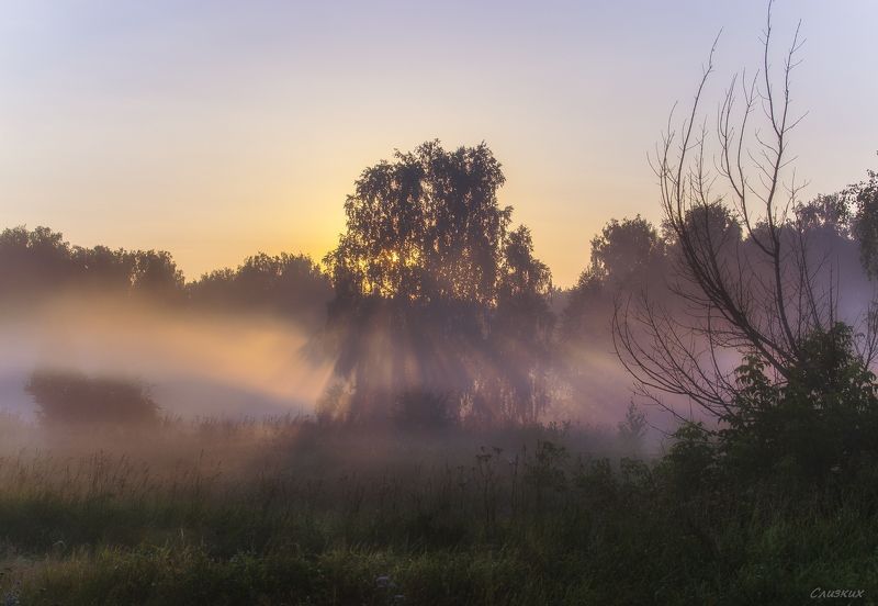 пейзаж,туман,утро,солнце,контражур,август Сиреневый туман... фото превью