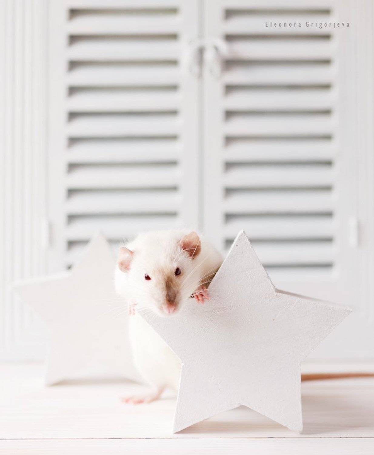 , Eleonora Grigorjeva