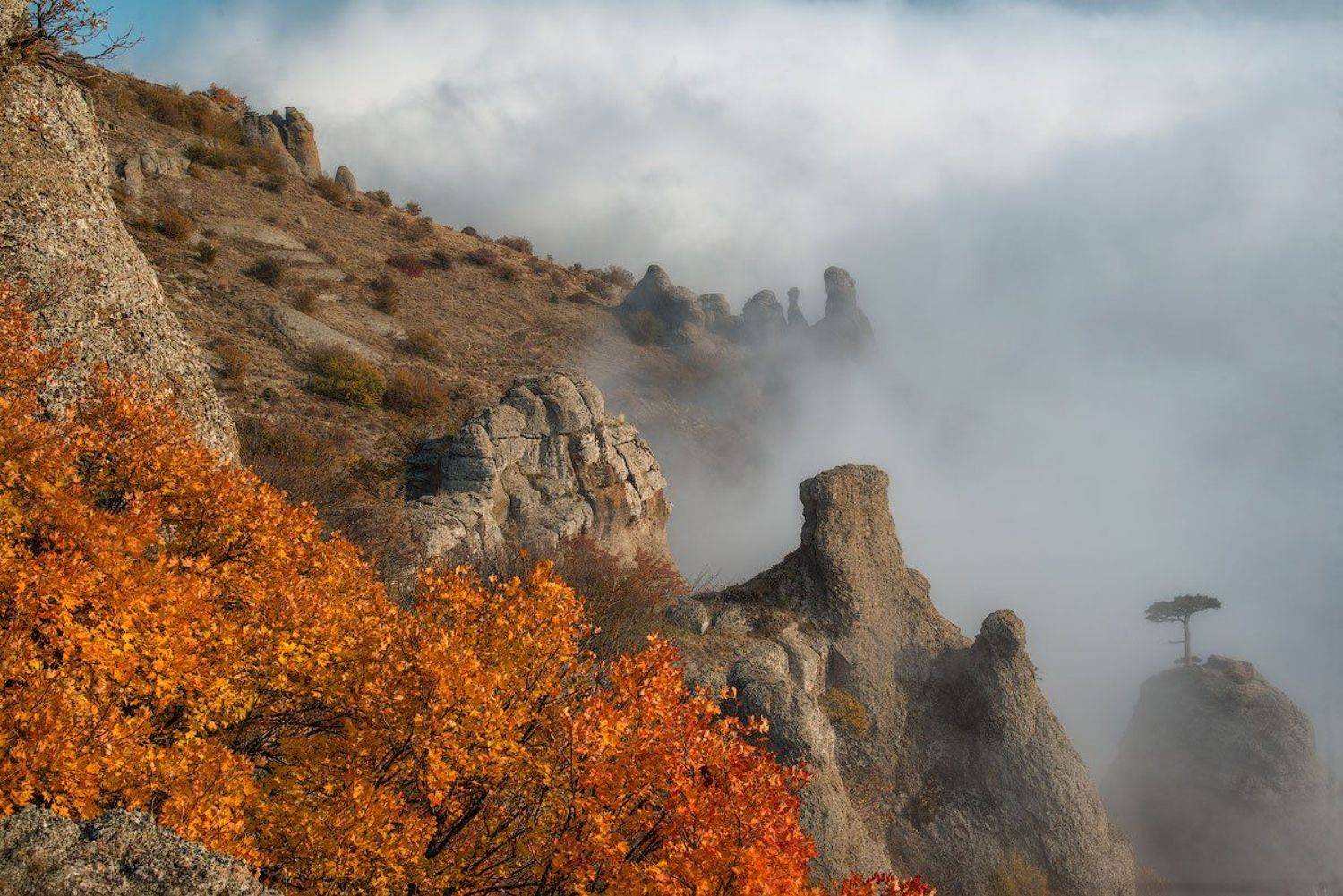 , Сергей Брагин