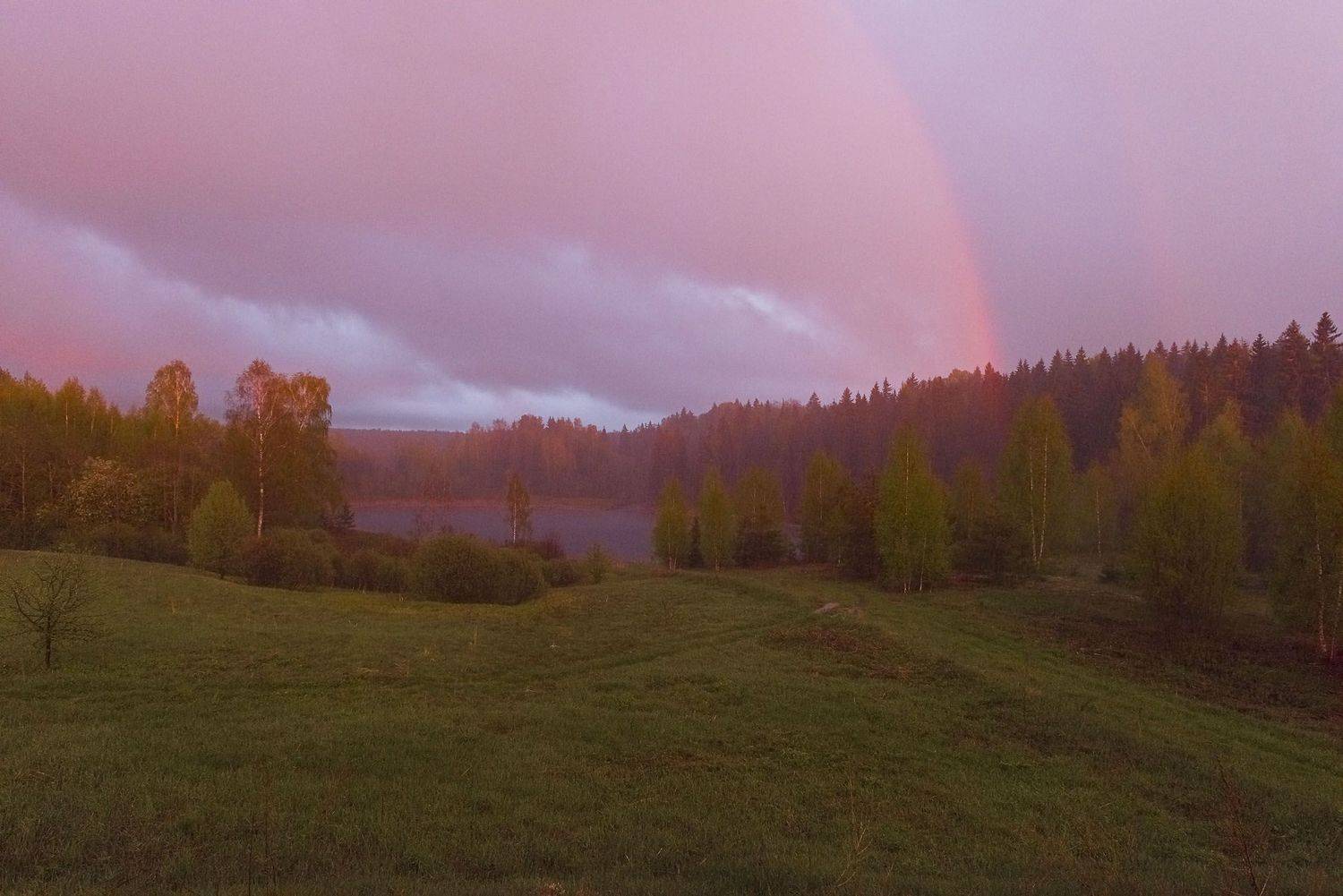 фототуры с владимиром рябковым, андреапольские озера, лето., Владимир Рябков