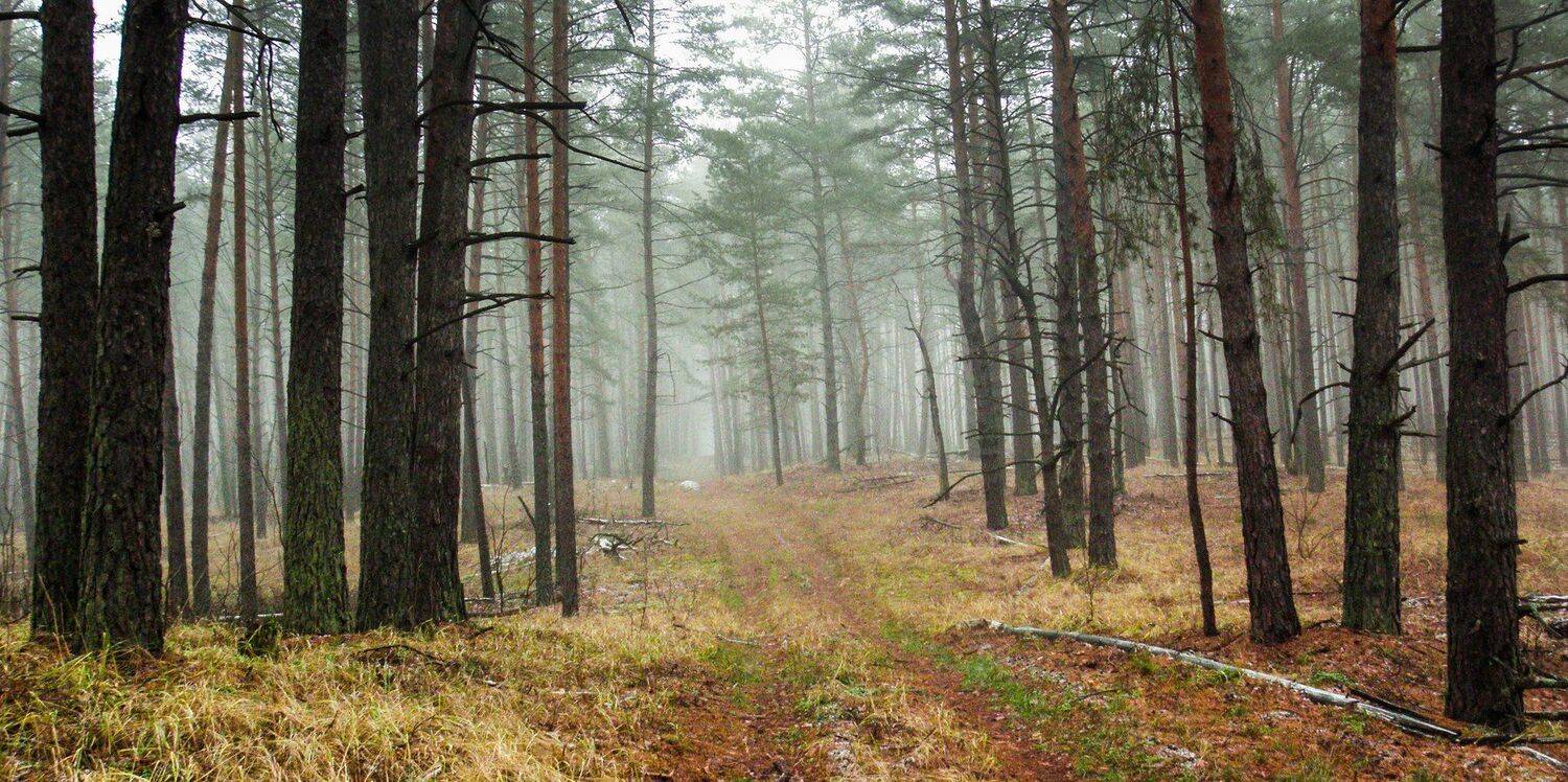 , Руслан Востриков