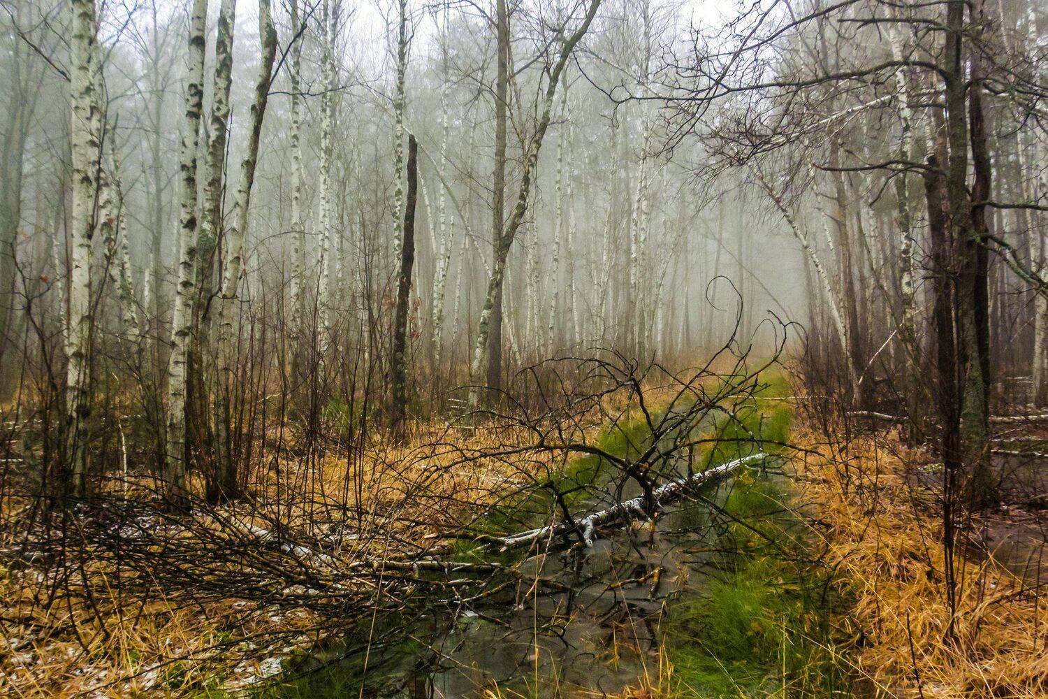 , Руслан Востриков