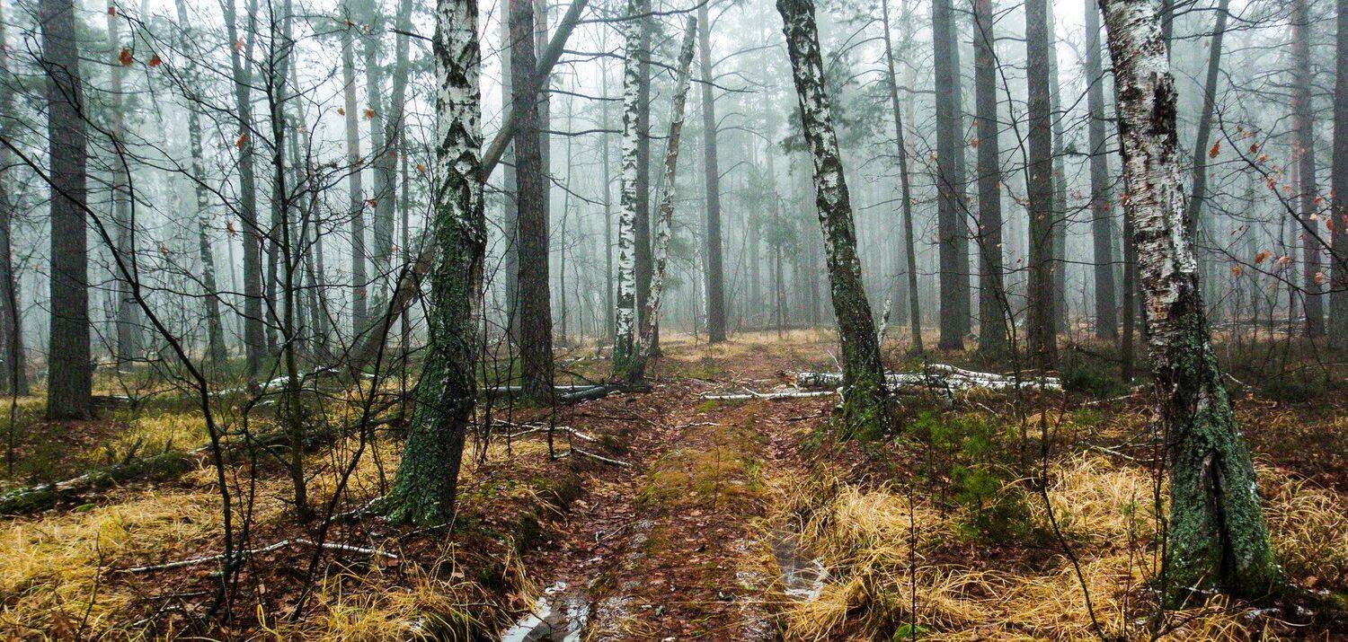 , Руслан Востриков