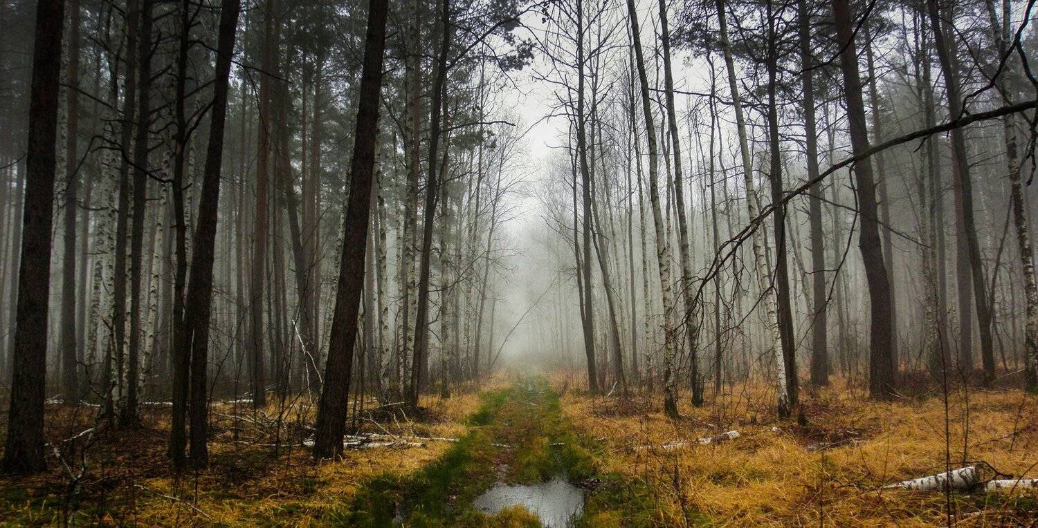 , Руслан Востриков