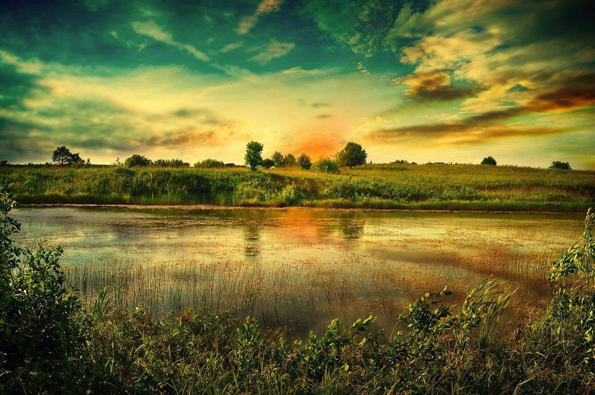 закат, Rimantas Petrikas