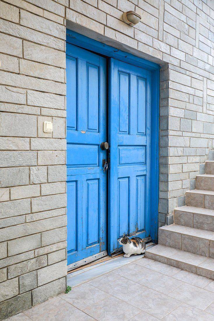 , Тодор Божков