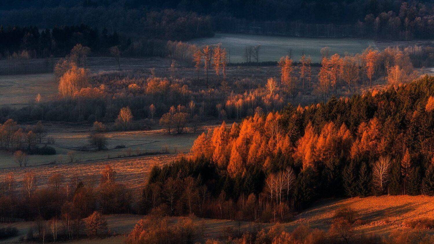 landscape,canon,mist,light,autumn, Iza i Darek Mitręga