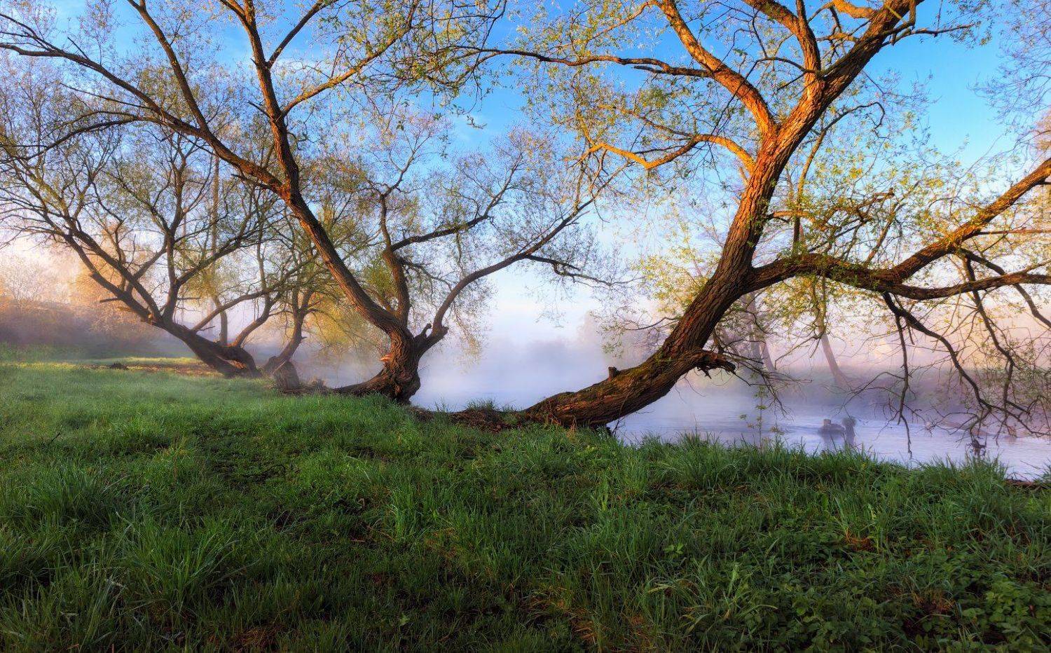 утро, река, весна, дымка,, Сергей Шабуневич