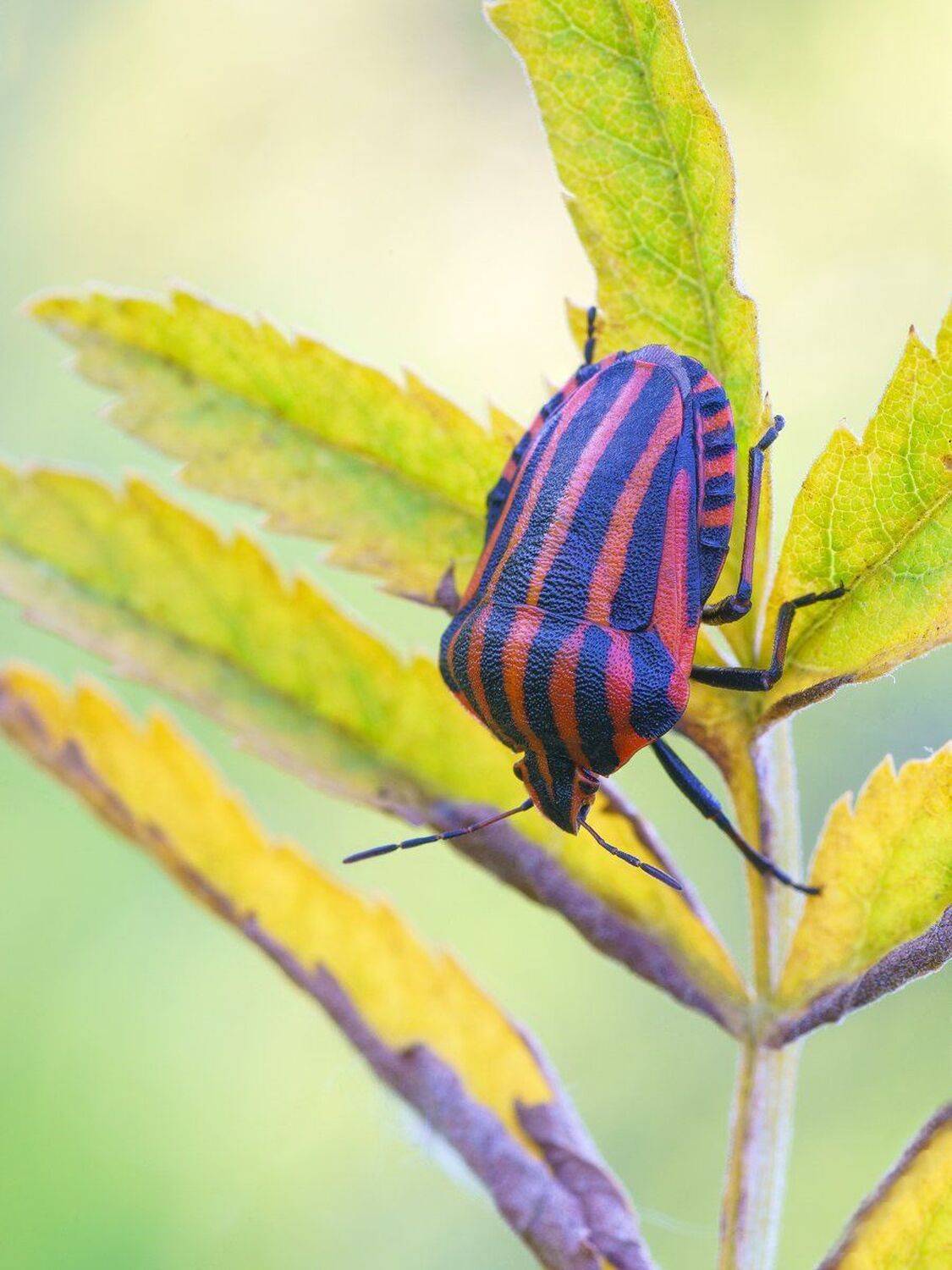 , Кузнецов Дмитрий