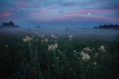 Туманные вечера