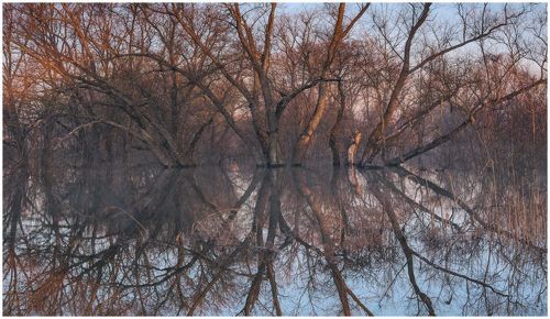 Графика отражений