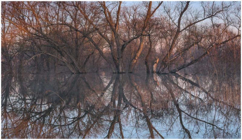 утро, рассвет, разлив, весна, природа, пейзаж, паводок, отражения Графика отражений фото превью