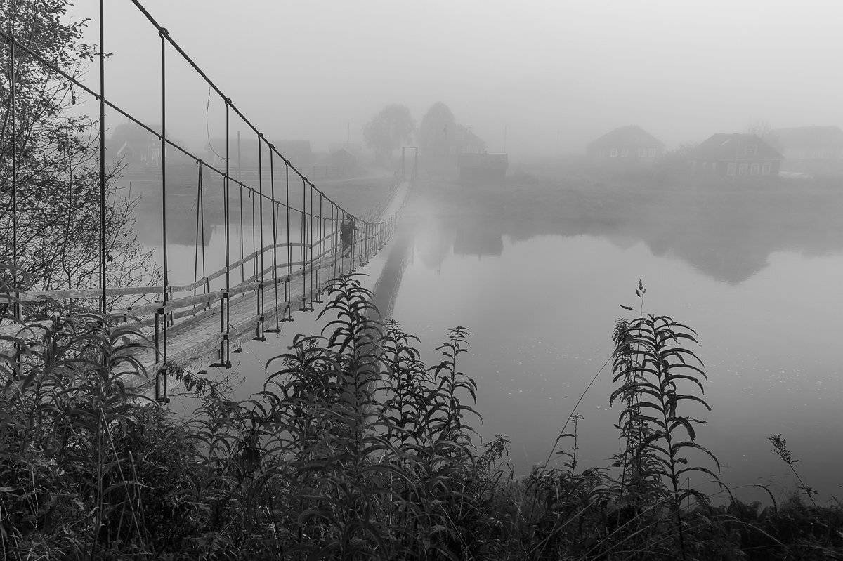 утро,природа,туман,пейзаж,мост,россия,жанр, Юлия Лаптева