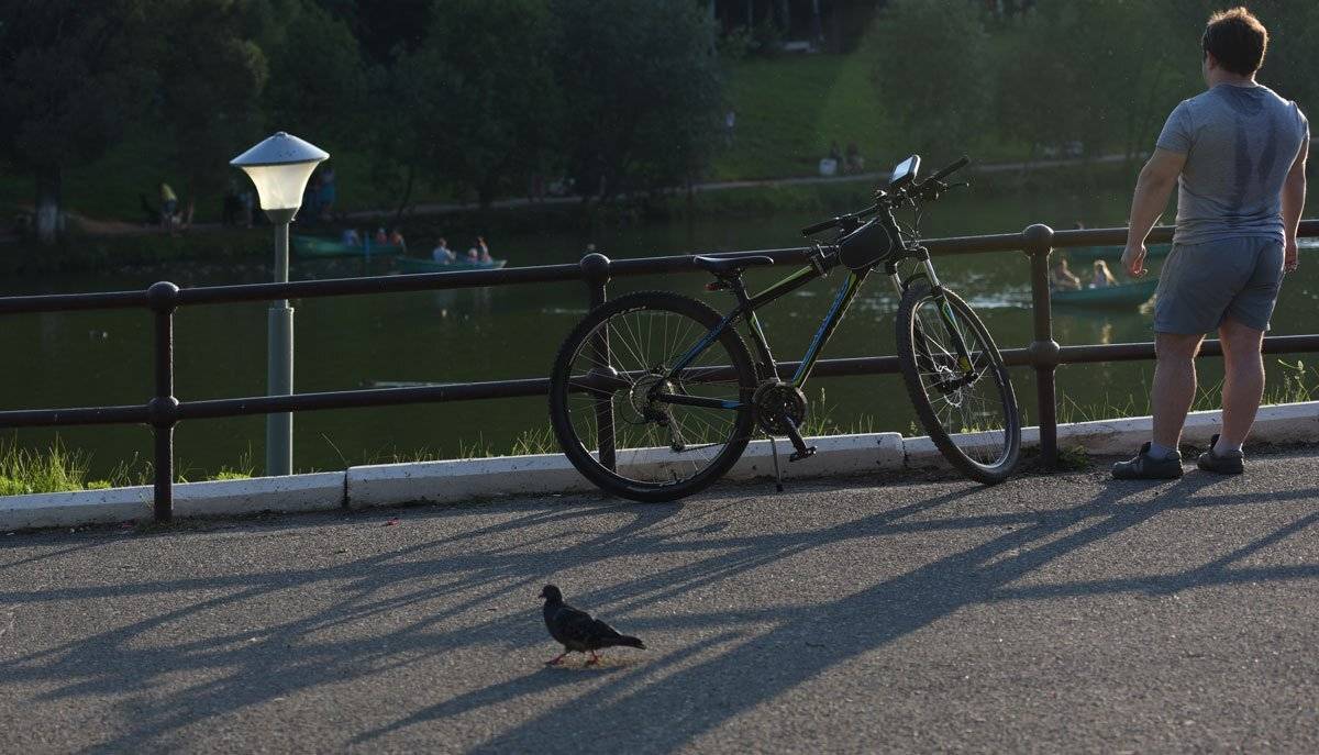 , Владимир