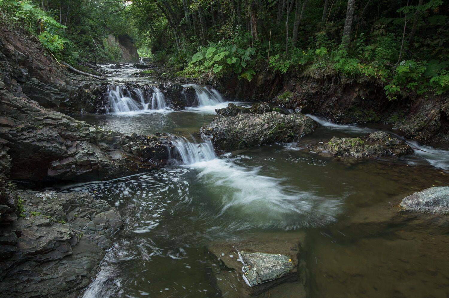 , Артем Удодов