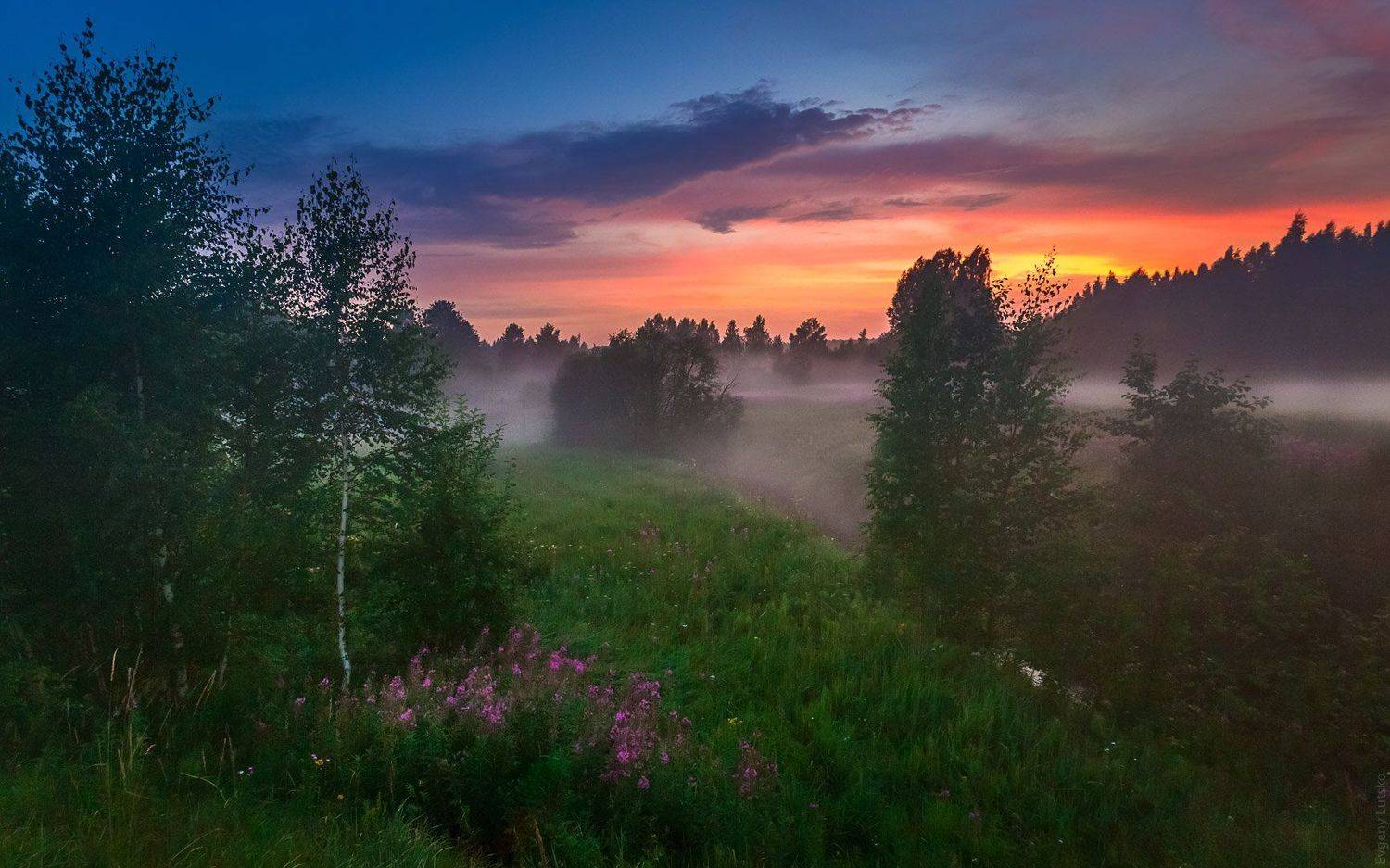 , Евгений Луцко