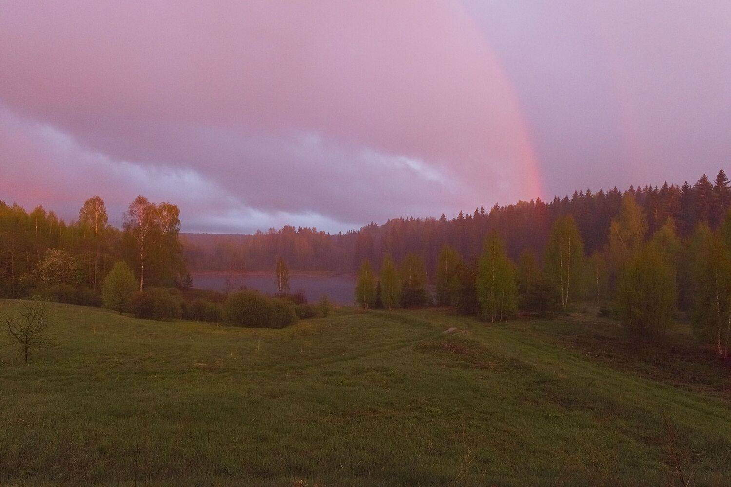 Фототуры с Владимиром Рябковым, Андреапольские озера, лето., Владимир Рябков