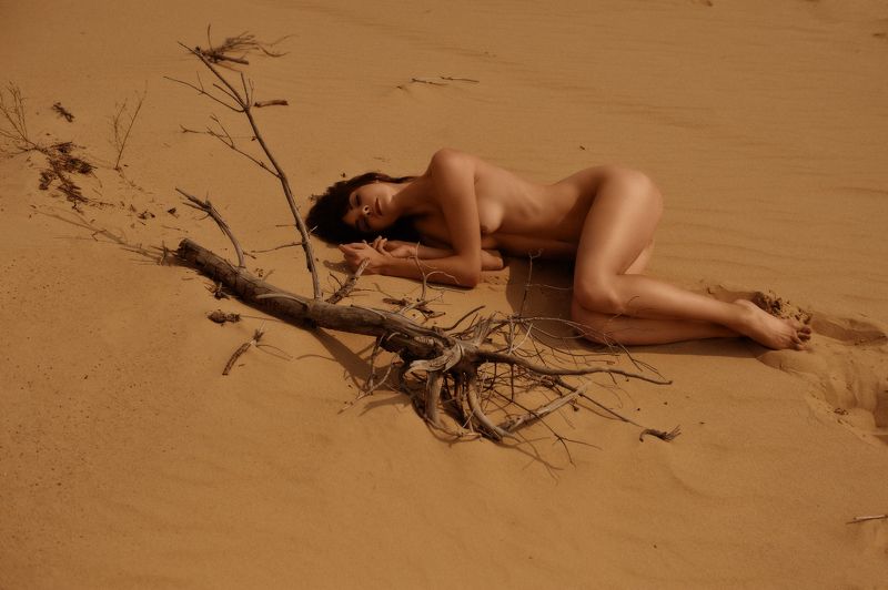 konstantin skomorokh, константин скоморох, kiev, киев, severodonetsk, северодонецк, ню, art nude, fine art, ukraine *** фото превью