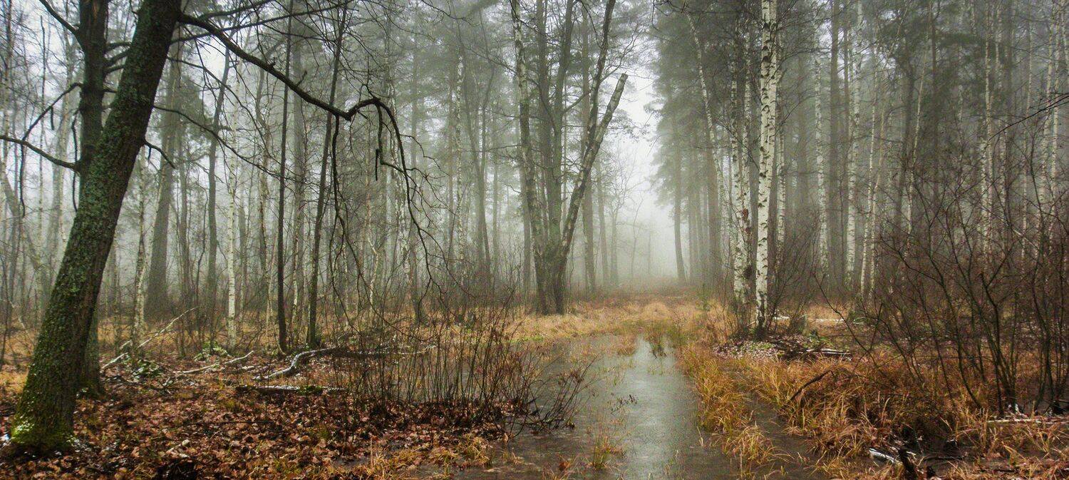 , Руслан Востриков